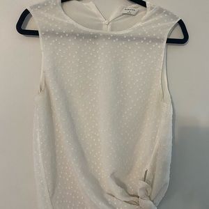 Aritzia blouse (babaton)